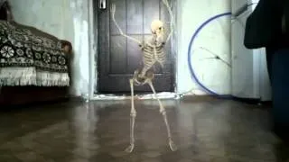 Все танцуют костями