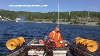 HOTR Squid Jiggin In Newfoundland!