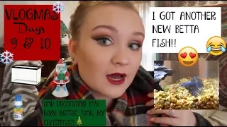 I GOT ANOTHER NEW FISH! plus setting up his tank! VLOGMAS DAYS 9&10|ItsAnnaLouise