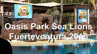 Sea Lions (leónes marinos) at Oasis Wildlife Park in Fuerteventura,  December 2015