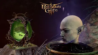 Говорящие головы в Baldur’s Gate 3. Квест который легко пропустить