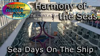 Harmony of the Seas Cruise - On Board The Ship