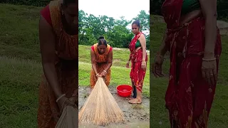 Best Net Fishing by Village Women | Very Amazing  Fishing on River