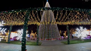 2024 Главная Ёлка🎄 Ташкента / Новый Год ❄️☃️ / Eng Katta Yangi Yil Archasi / New Year Christmas