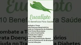 10 Benefícios do Eucalipto #ervasmedicinais #viverbem #short #receitassaudaveis