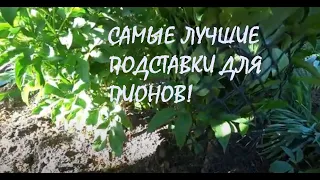 Самые лучшие ПОДСТАВКИ ДЛЯ ПИОНОВ из пластиковой черной сетки!_08.05.2024