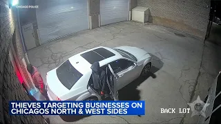 Chicago business burglary caught on camera; police investigating at least 12 similar crimes