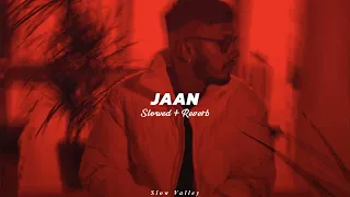 Jaan (Slowed Reverb) - Prm Nagra