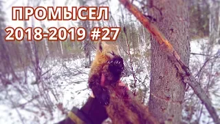 ШОКИРУЮЩАЯ ВСТРЕЧА С ЧЕЛОВЕКОМ! ОШАЛЕЛЫЕ СОБОЛЯ! ПРОМЫСЕЛ 2018 - 2019 #27