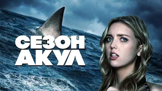 Сезон акул | Смотреть кино | Онлайн фильм| Фильмы про акул смотреть