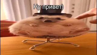 Ну привет)