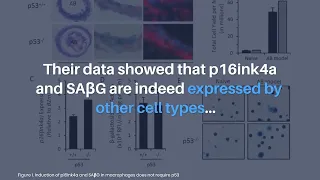 Insufficient Markers of Senescent Cells | Aging-US