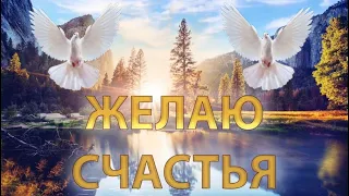 Пожелания счастья! Красивое видео поздравление