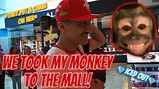 TOOK MY MONKEY TO THE MALL!