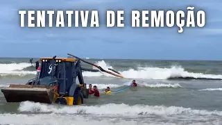 TENTATIVA DE REMOÇÃO de um tronco GIGANTE em Balneário Camboriú 03/01/2024