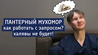 Пантерный мухомор и Айваска, одно и то же или нет? | Как работать с запросом? | Иллюзии и реальность