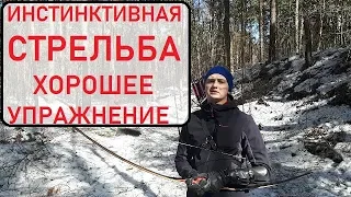 Инстинктивная стрельба из лука  Упражнение на меткость