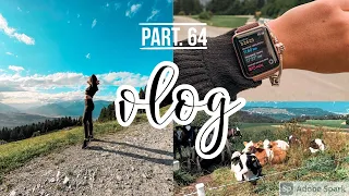 vlog part. 64 | pěšky na 2.246m!