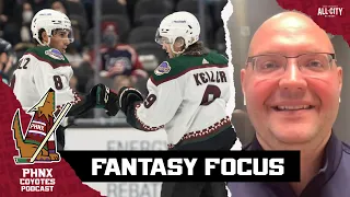 Which Arizona Coyotes players have the best fantasy value?