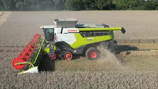 CLAAS LEXION 8700TT am Weizen dreschen / Abfahrer FENDT 826 mit HAWE Überladewagen & FENDT 724 / 4K