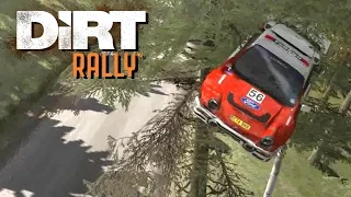 DiRT Rally - Crash Compilation #5