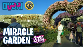 Beautiful Dubai Miracle Garden 🇦🇪 2024 (Full Walking Tour)