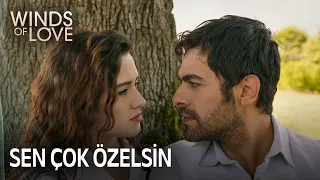 What's Halil Firat like for Zeynep? | Winds of Love Episode 108 (MULTI SUB)