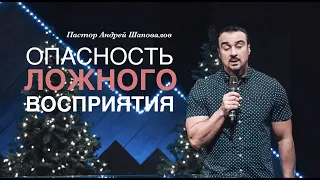 Андрей Шаповалов «Опасность ложного восприятия» / Andrey Shapovalov «Danger of false perception»