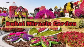 Dubai Miracle Garden 2024 🇦🇪| The world’s largest natural flower garden