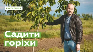 Growing Nuts · Ukraїner