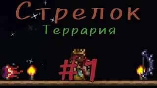 Террария стрелок | Начинаем ! | #1