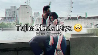 Tujhe Bhula Diya ( Slowed + Reverb) l Sad Lofi Song l Heart Broken Hindi Lofi Song l Harshit Lofi