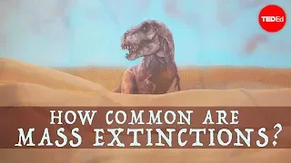 When will the next mass extinction occur? - Borths, D'Emic, and Pritchard