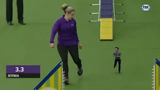 Jerma absolutely destroys Westminster agility championship