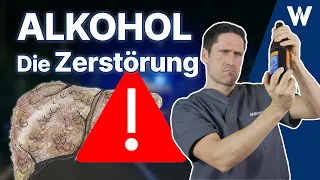 Die Zerstörung: Die gefährlichste Droge der Welt | Folgen von Alkohol für Deinen Körper!