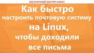 Как быстро настроить почтовую систему на Linux, чтобы доходили все письма