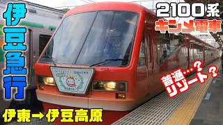 伊豆急行🚈2100系🐟キンメ電車😃普通？リゾート？🤔伊東→伊豆高原