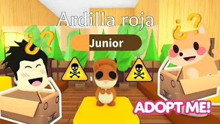 EL MISTERIO DE LA NUEVA ARDILLA en ADOPT ME | Linkego #Shorts