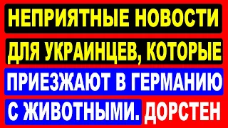 Неприятные новости для украинцев, которые приезжают в Германию с животными.  Дорстен.