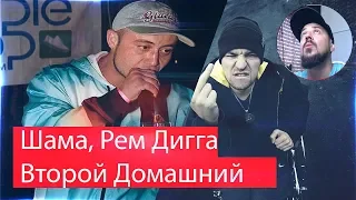 Реакция на Шама, Рем Дигга - Второй Домашний