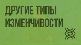 Другие типы изменчивости. Видеоурок по биологии 9 класс