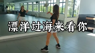 《漂洋过海来看你》