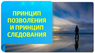 Принцип позволения и принцип следования в техниках Тафти