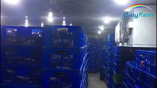 Fish Cold Room