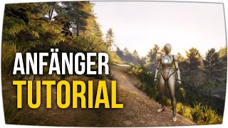 Anfängerkurs - Basics und Landschaften bauen ► Unreal Engine 5 Tutorial #UE5 (German)