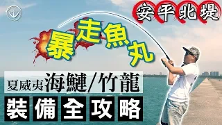 大型洄游魚種/瘋狂出線機/你的線真的夠多嗎/台南安平北堤季節限定 #鵝大人 #釣魚