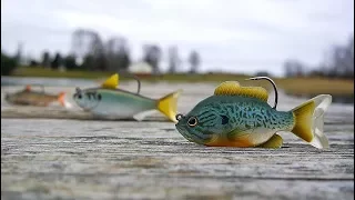 Live Target Swimbait Review/Are They Worth The Money?