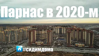 Топ 5 причин переехать в Парнас, 29 марта 2020, съемка района