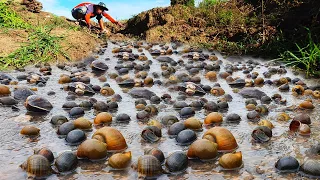 amazing fishing! a fisherman skill catch snail a lots in canal by best hand this time