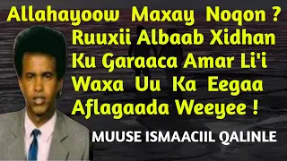 Muuse Ismaaciil Qalinle Heesta Alahayow maxay noqon | hees maxay noqon | Alahayow maxay noqon lyrics